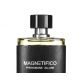 Magnetifico secret scent męskie perfumy z feromonami 20ml