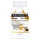 BERBERINE HCL 98% silny ekstrakt odchudzanie berberyna glukoza insulina 100tab 1500mg